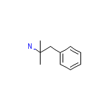 Omnibex