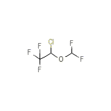 Forene