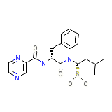 Bortezomib