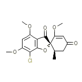 Fulvina