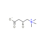 Levocarnitine