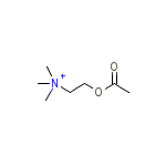 Acetylcholine