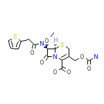 Cefoxitin