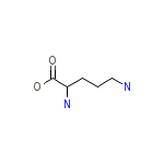 Ornithine
