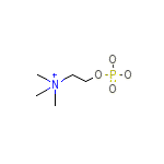 Phosphocholine