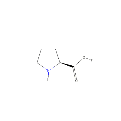 (-)-Proline