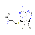 S-Adenosyl-L-Homocysteine