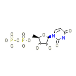 Uridine-5'-Diphosphate