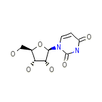 Uridine